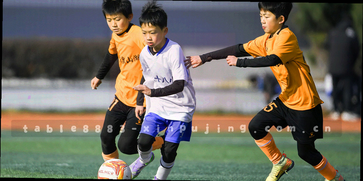 编号刻度、时长三档与记录回溯三个专题系列的封面拼版